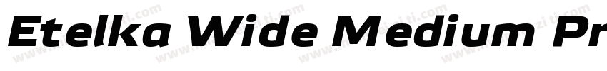 Etelka Wide Medium Pro Bold Italic字体转换